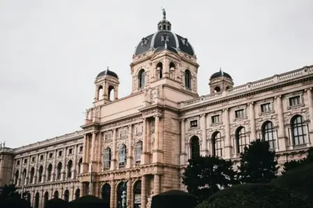 Achiziționarea vinietei austriece