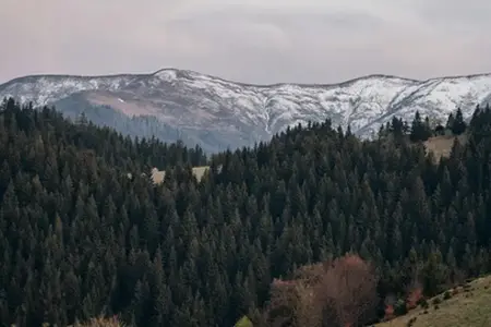 Румынская вiньетка и советы по покупке и путешествию